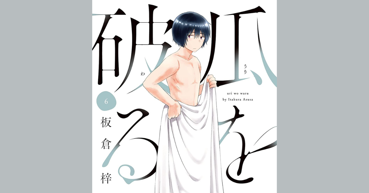 瓜を破る6